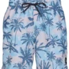 Quiksilver Men's 17" Everyday Mix Swim Trunks
