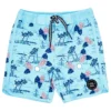 Boys' Boardshorts (Toddler, Little Kid, Big Kid)