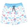 Boys' Swim Trunks (Toddler, Little Kid, Big Kid)