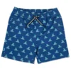 Boys' Fin Swim Trunks (Toddler, Little Kid, Big Kid)